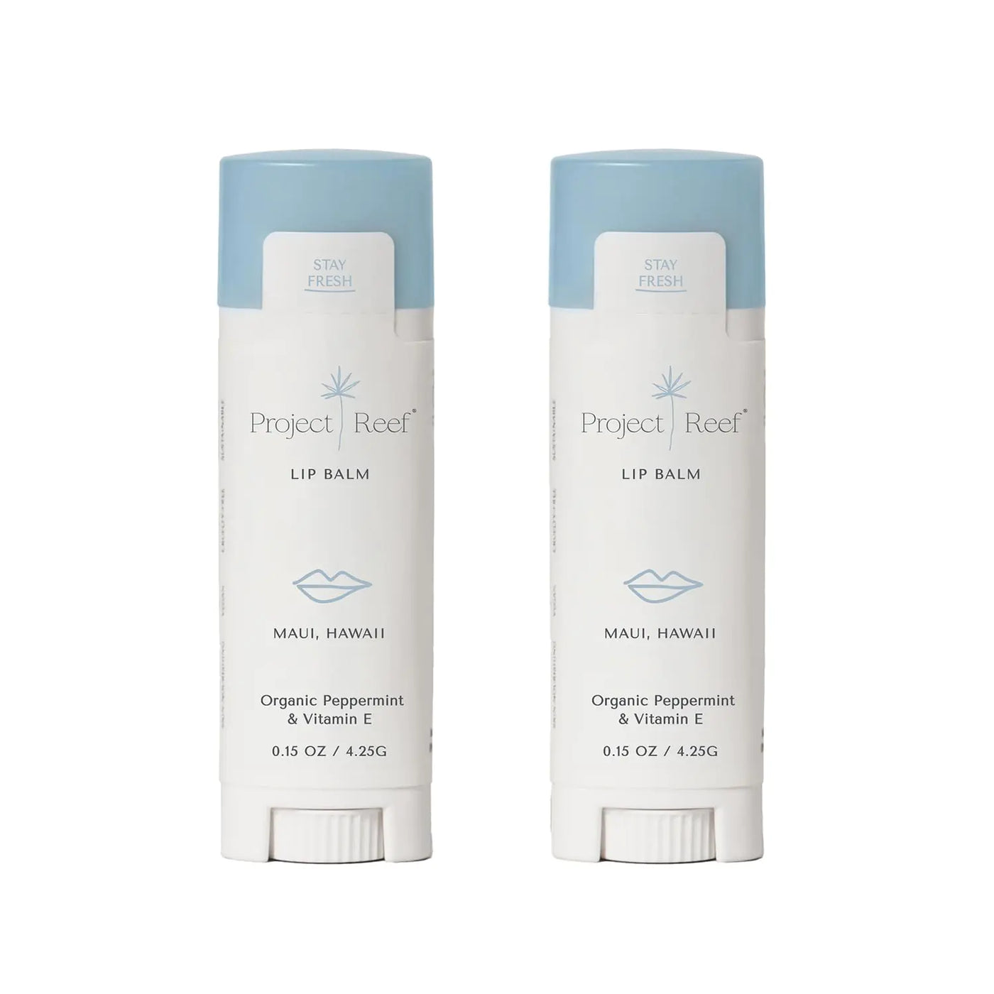 Ocean Mint Hydrating Lip Care 2-Pack